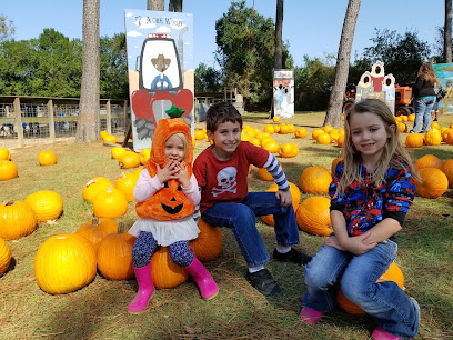 Kids Party Rentals in Conroe, TX