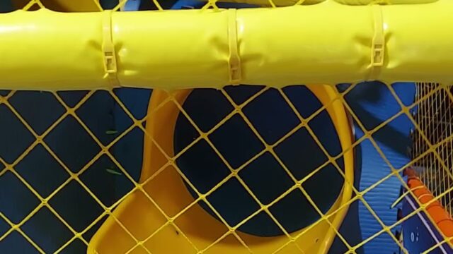 Single Location 35 Kids Party Rentals in Greensboro, NC