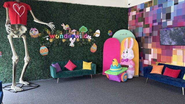 Single Location 83 Kids Party Rentals in Houston, TX