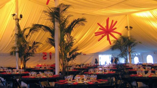 Single Location 5 Kids Party Rentals in Milpitas, CA
