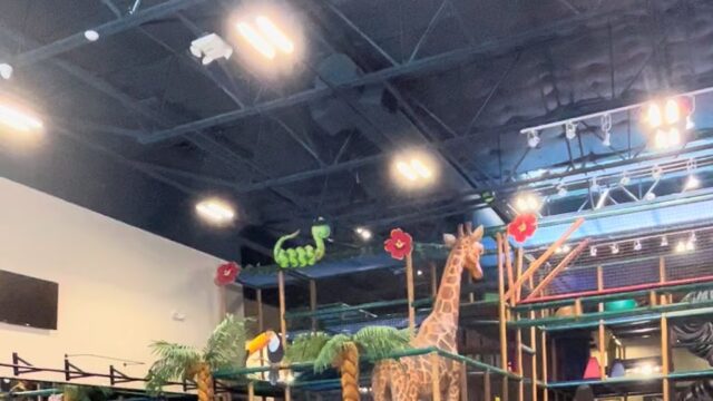 Single Location 5 Kids Party Rentals in Plano, TX
