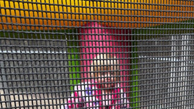 Kids Party Rentals in Birmingham, AL
