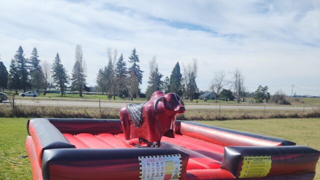 Single Location 23 Kids Party Rentals in Salem, OR