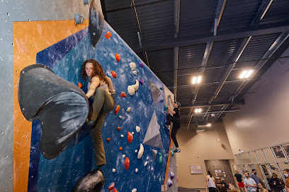 Single Location 33 Kids Party Rentals in Rochester, NY