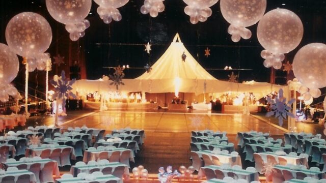 Single Location 41 Kids Party Rentals in Anchorage, AK