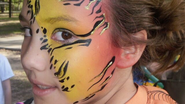 Kids Party Rentals in Arlington, TX