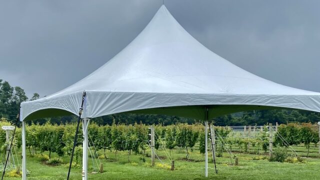 Party Tableware & Linen Rentals Near You