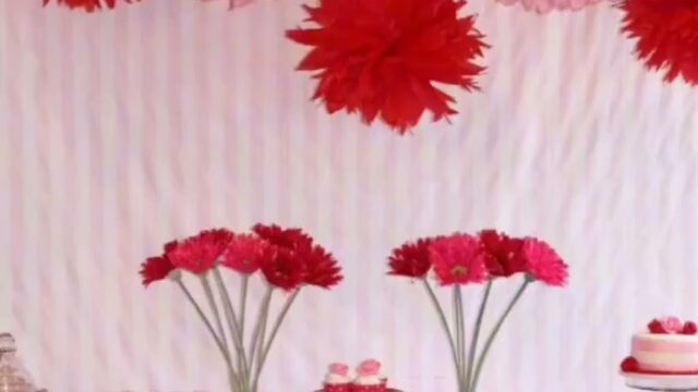 Single Location 5 Kids Party Rentals in Tulsa, OK