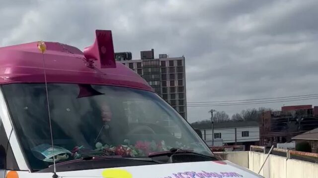 Single Category 93 Ice Cream Trucks for Kids Parties Near You
