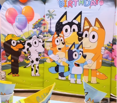 Single Location 28 Kids Party Rentals in Brooklyn, NY