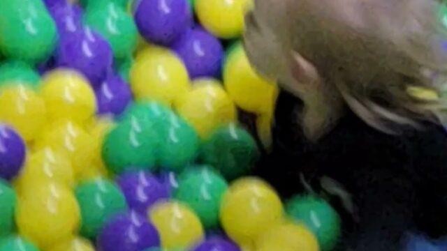 Kids Party Rentals in Omaha, NE