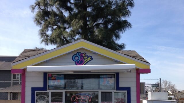 Single Category 40 Ice Cream Trucks for Kids Parties Near You