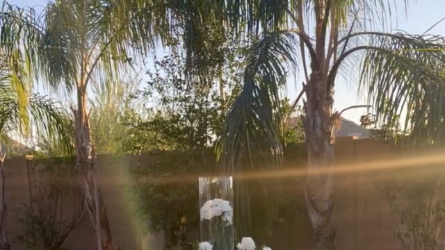Single Location 40 Kids Party Rentals in Gilbert, AZ