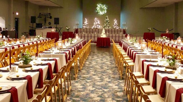 Kids Party Rentals in St. Louis, MO