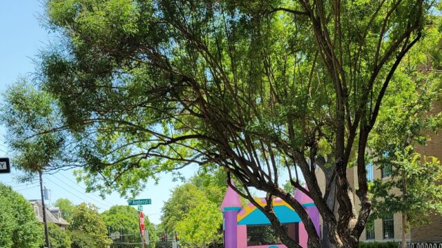 Kids Party Rentals in DeSoto, TX