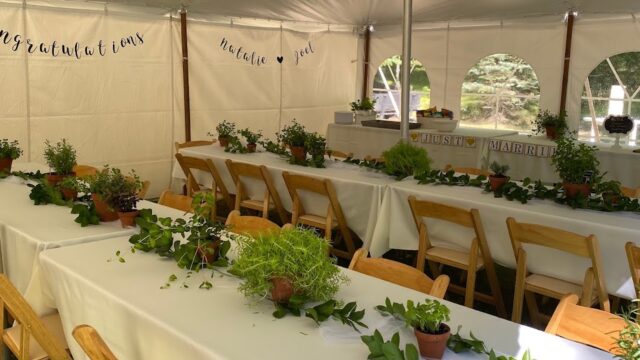 Kids Party Rentals in Duluth, MN