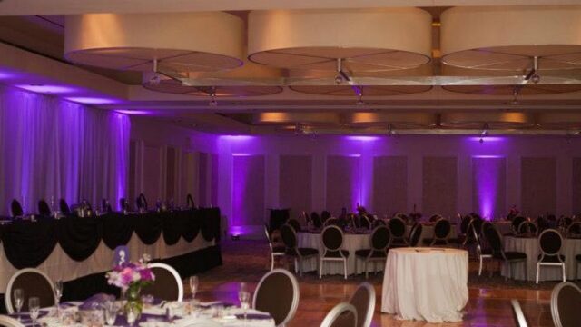 Single Category 49 Kids Party DJs Near You
