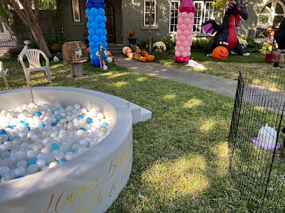 Single Location 21 Kids Party Rentals in Irving, TX