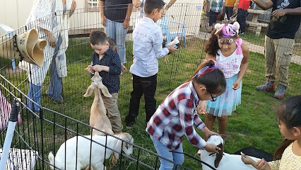 Single Location 31 Kids Party Rentals in Phoenix, AZ