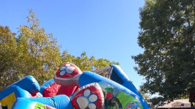 Single Location 13 Kids Party Rentals in Mansfield, TX