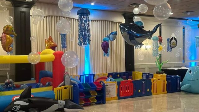Single Category 75 Sensory & Soft Play Rentals for Kids Parties Near You
