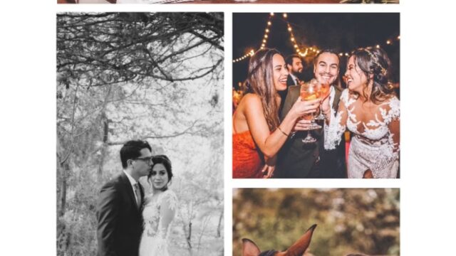 Kids Party Planners Near You