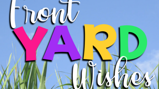Single Location 55 Kids Party Rentals in Lexington, KY