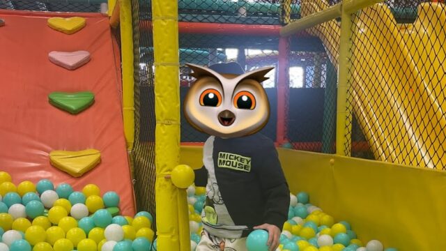 Single Location 45 Kids Party Rentals in Fontana, CA