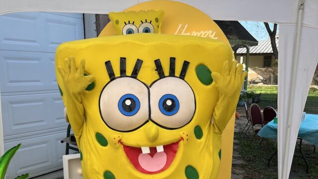Single Location 37 Kids Party Rentals in Houston, TX