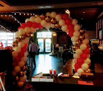 Kids Party Rentals in Dallas, TX