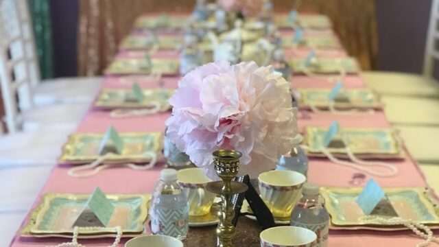Kids Party Rentals in Raleigh, NC
