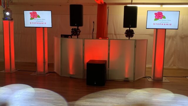 Single Category 36 Kids Party DJs Near You