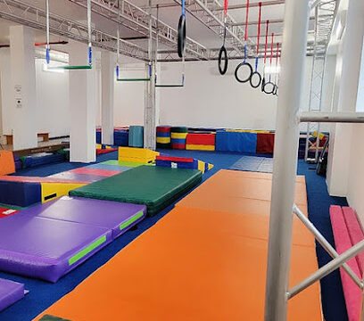 Kids Party Rentals in Bronx, NY