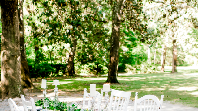 Single Category 61 Party Tableware & Linen Rentals Near You