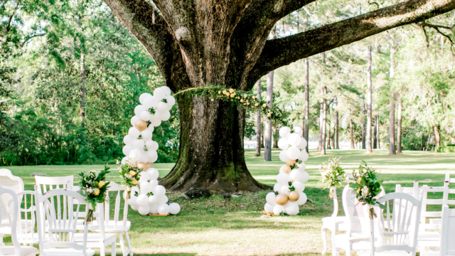 Single Category 60 Party Tableware & Linen Rentals Near You