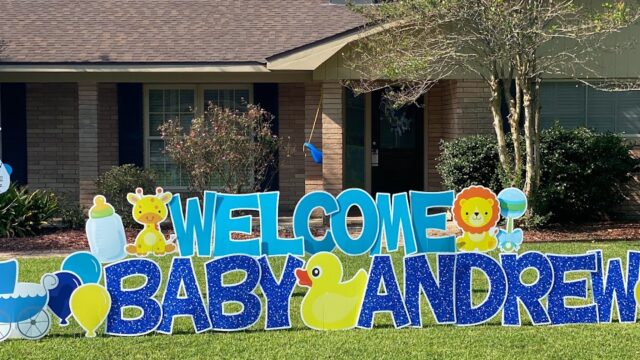 Single Category 97 Party Decorations for Kids Birthdays Near You