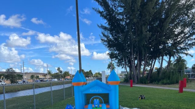 Single Category 83 Sensory & Soft Play Rentals for Kids Parties Near You