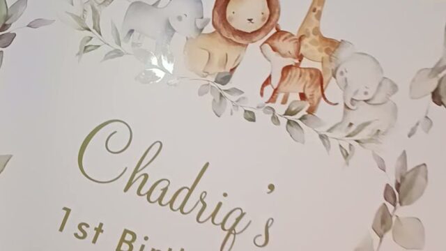 Single Location 34 Kids Party Rentals in Brooklyn, NY