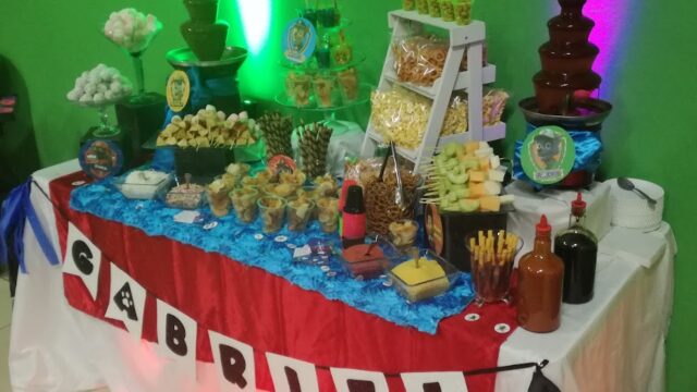 Single Category 101 Kids Party DJs Near You
