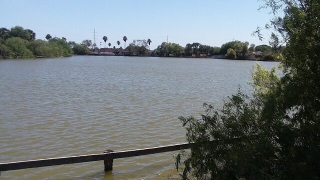 Kids Party Rentals in Brownsville, TX