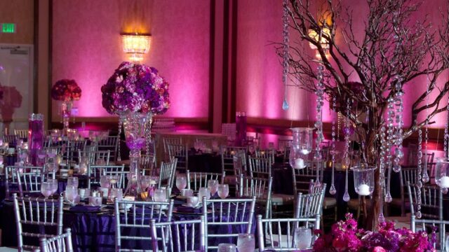 Single Category 80 Party Tableware & Linen Rentals Near You