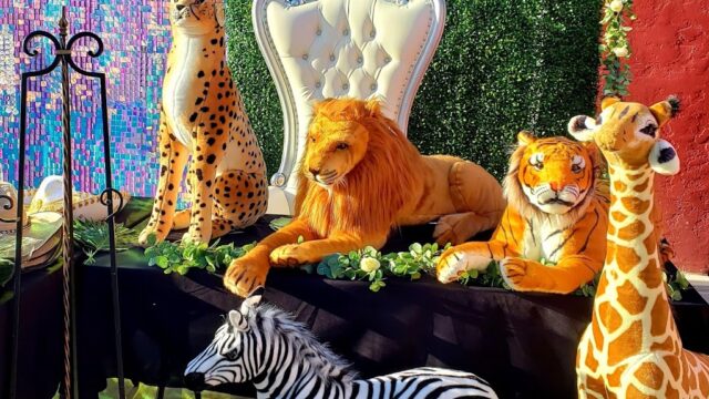 Single Location 14 Kids Party Rentals in Fresno, CA