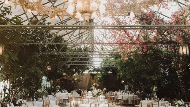 Single Category 89 Party Tableware & Linen Rentals Near You