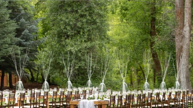 Single Category 87 Party Tableware & Linen Rentals Near You