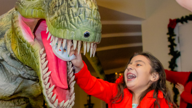Single Location 8 Kids Party Rentals in Chicago, IL