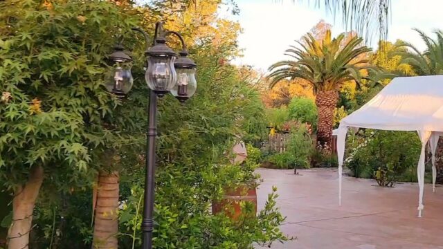 Single Location 1 Kids Party Rentals in Fresno, CA
