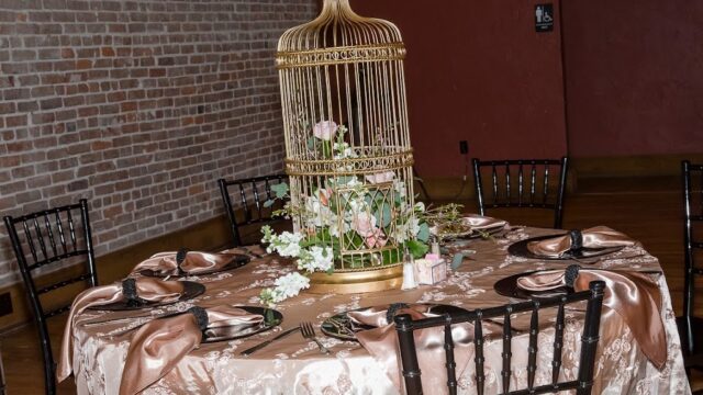 Kids Party Rentals in Springfield, MO
