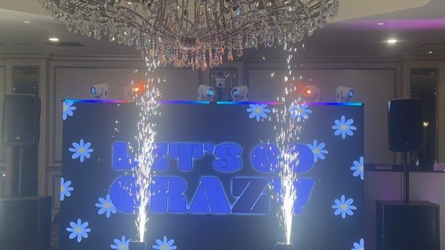 Single Category 73 Kids Party DJs Near You