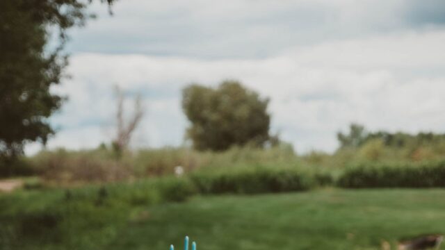Single Location 36 Kids Party Rentals in Sioux Falls, SD