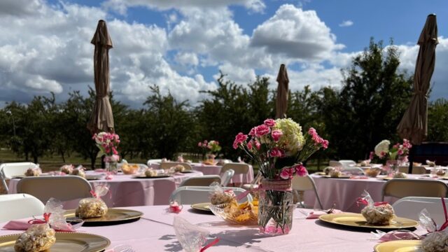 Kids Party Rentals in Modesto, CA